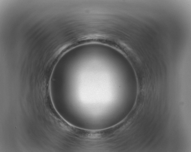 X0000081341313200701182010