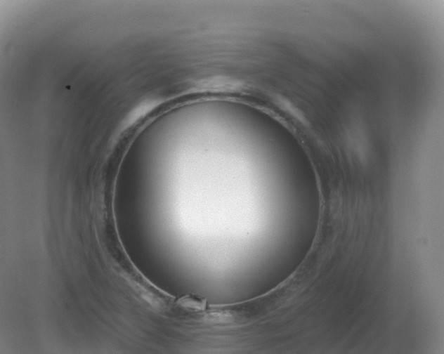 X0000081341315200701182010