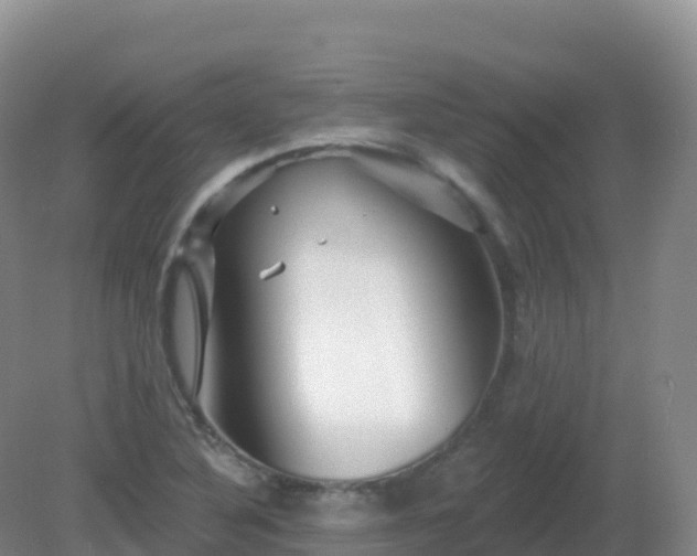 X0000081341316200701182010
