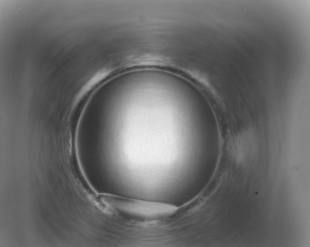 X0000081341317200701182010