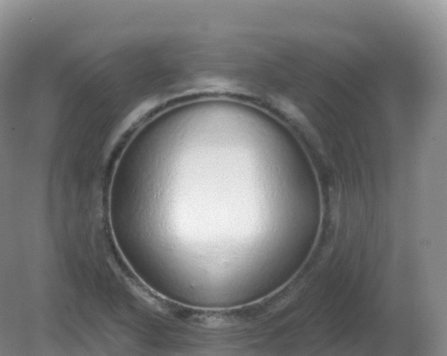 X0000081341318200701182010