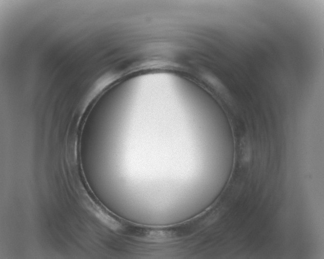 X0000081341322200701182010