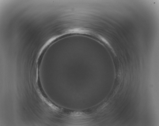 X0000081341323200701182010