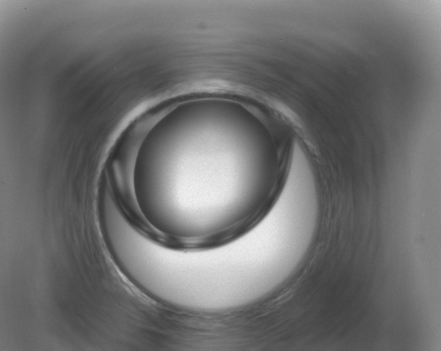 X0000081341326200701182010
