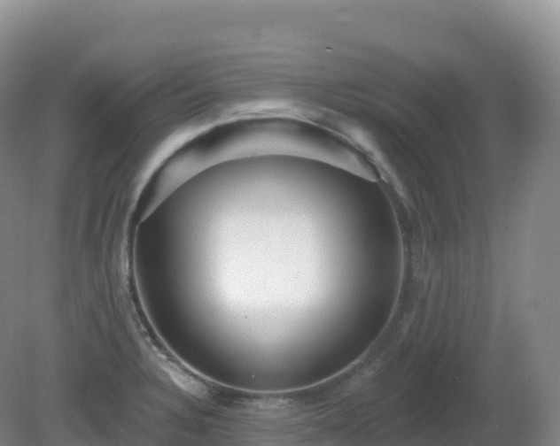 X0000081341328200701182010