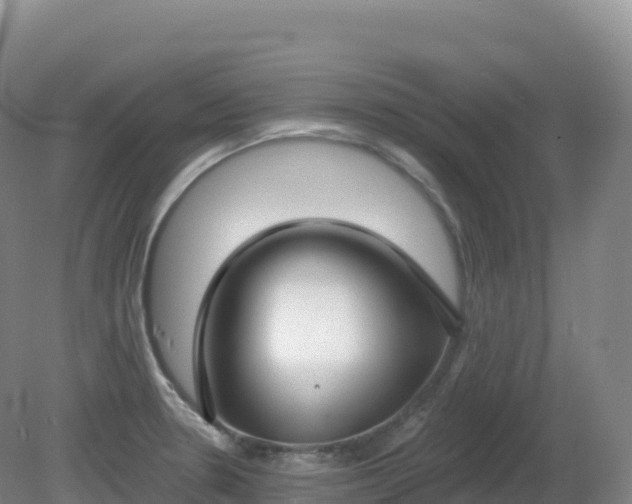 X0000081341330200701182010