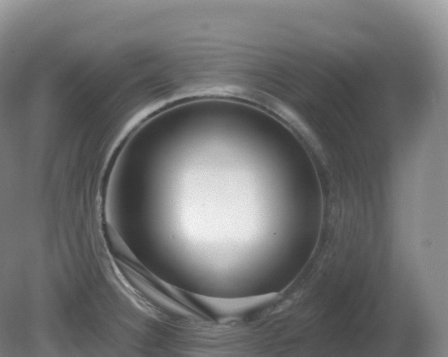 X0000081341332200701182010