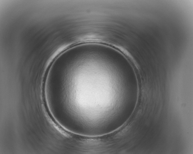 X0000081341333200701182010