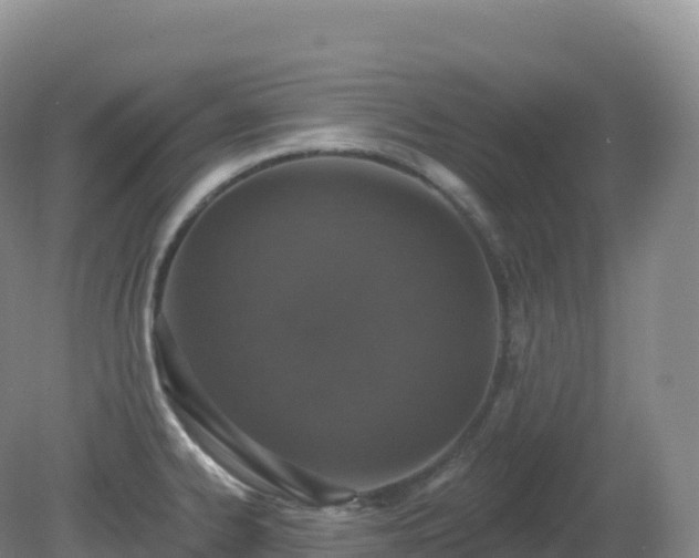 X0000081341334200701182010