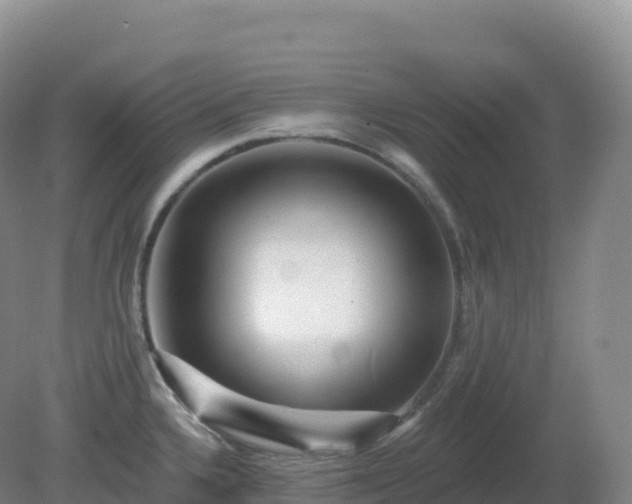X0000081341336200701182010