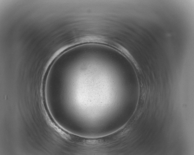 X0000081341339200701182010
