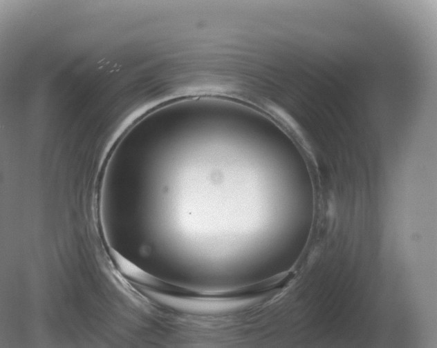 X0000081341340200701182011
