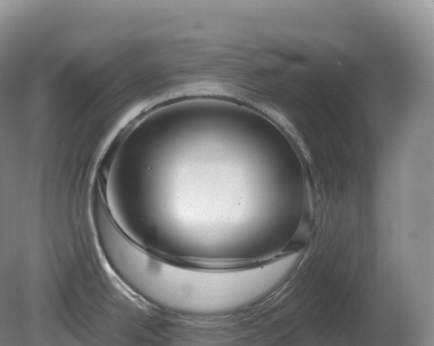 X0000081341342200701182011