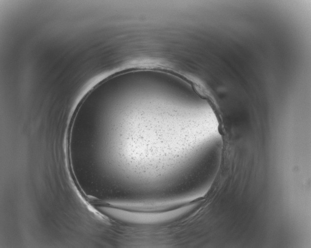 X0000081341343200701182011