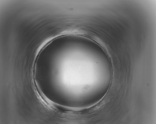 X0000081341344200701182011
