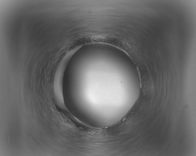 X0000081341345200701182010