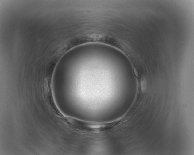 X0000081341347200701182010