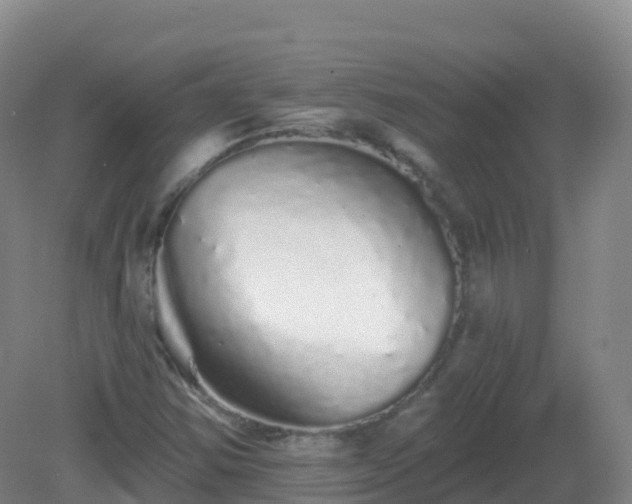 X0000081341354200701182010