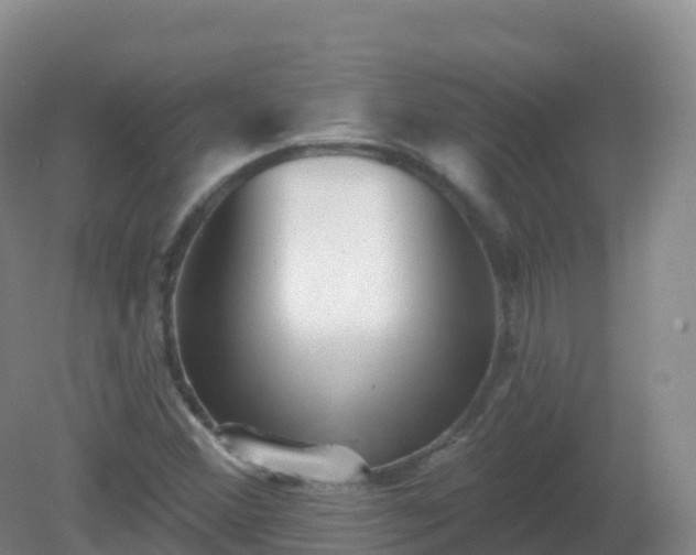 X0000081341356200701182010
