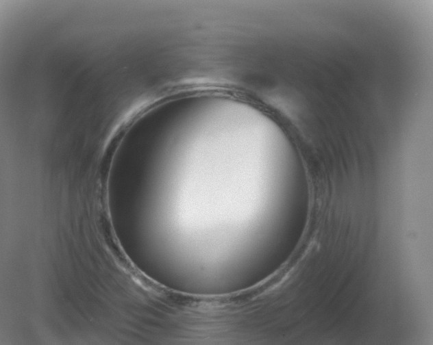 X0000081341357200701182010
