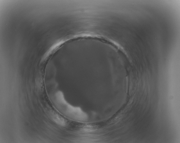 X0000081341359200701182010