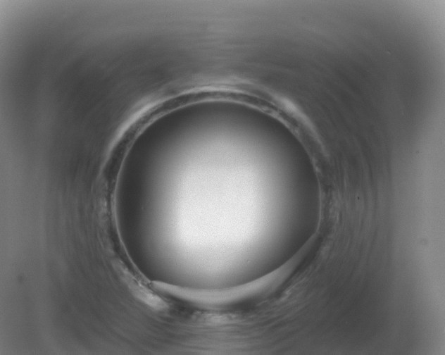 X0000081341360200701182010