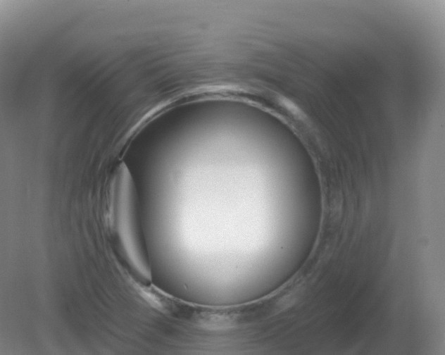 X0000081341361200701182009