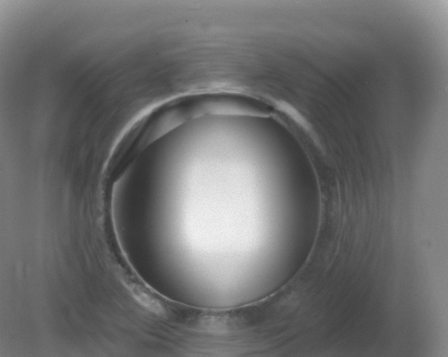 X0000081341364200701182009