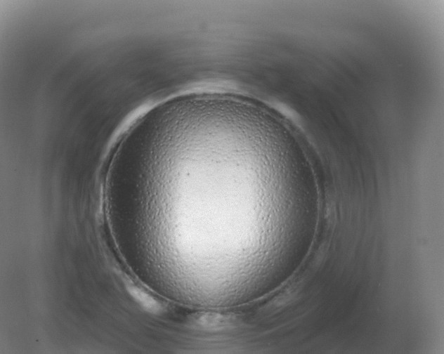 X0000081341366200701182009