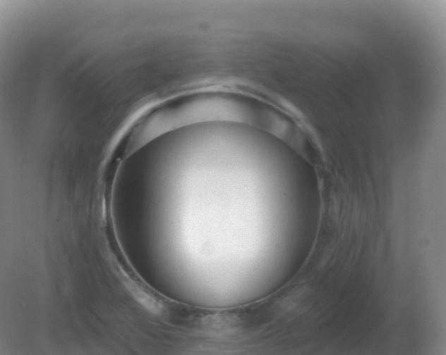 X0000081341368200701182009