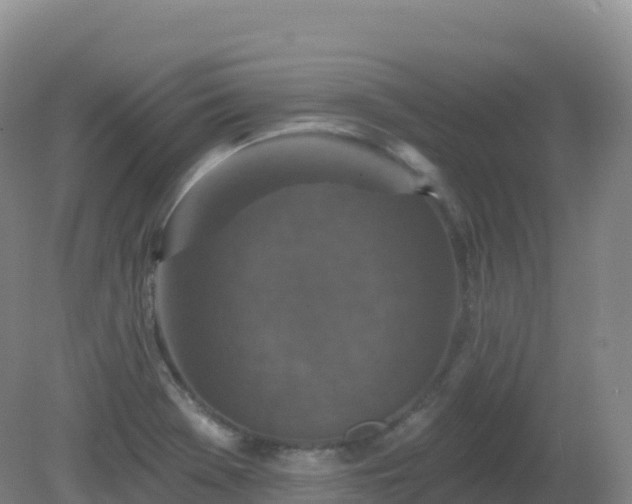 X0000081341369200701182009