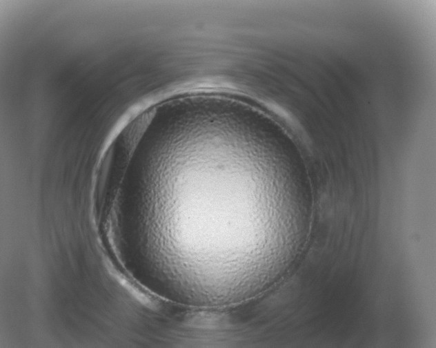X0000081341374200701182009