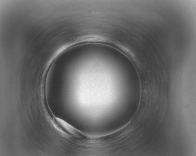 X0000081341375200701182009