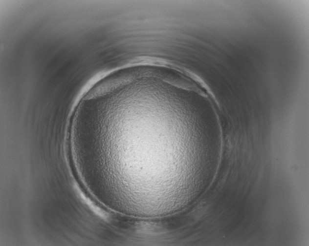 X0000081341379200701182009