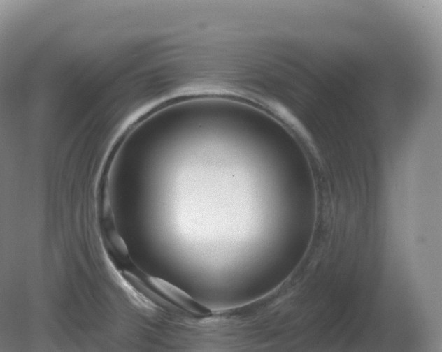 X0000081341380200701182009