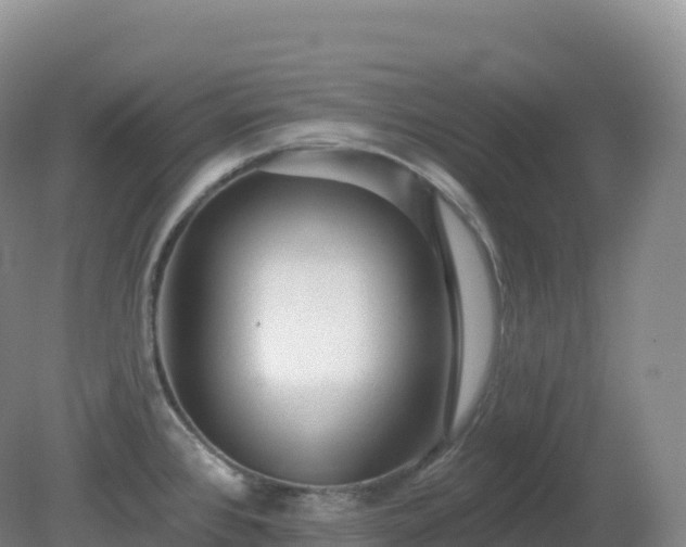 X0000081341384200701182009