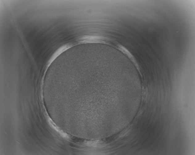 X0000081341386200701182009