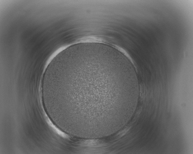X0000081341387200701182009
