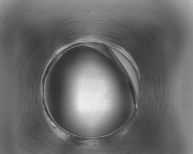 X0000081341388200701182009