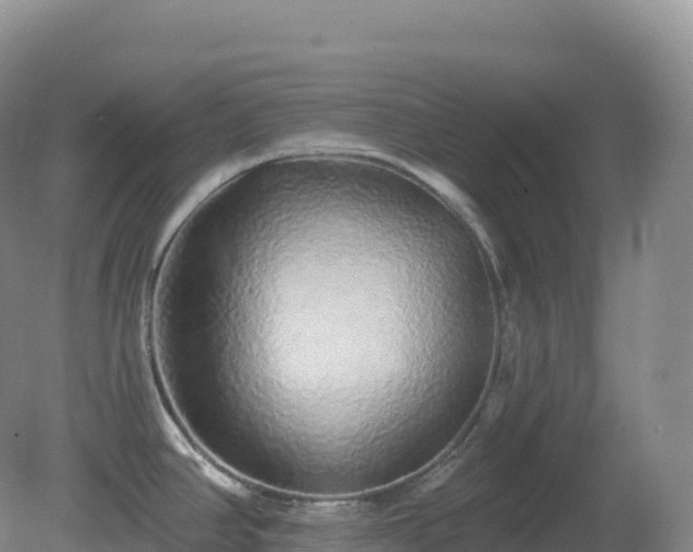 X0000081341390200701182009