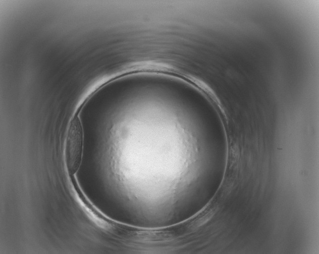 X0000081341391200701182009