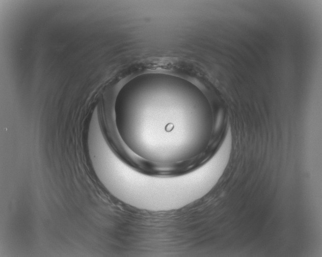 X0000081341393200701182008