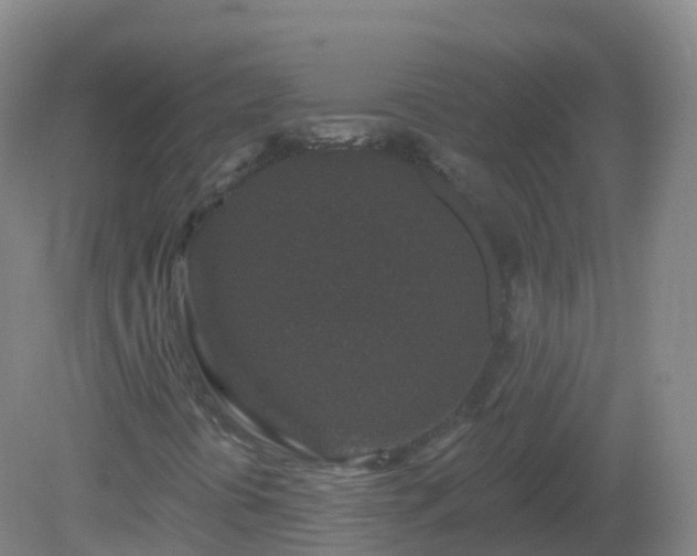 X0000081341394200701182008