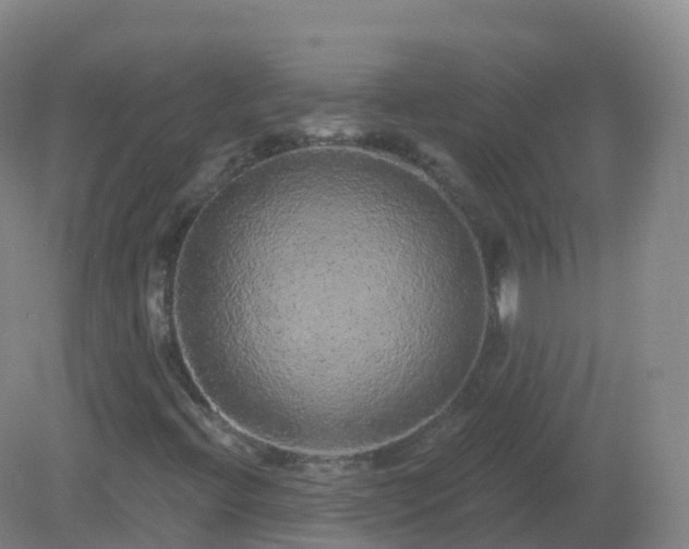 X0000081341396200701182008