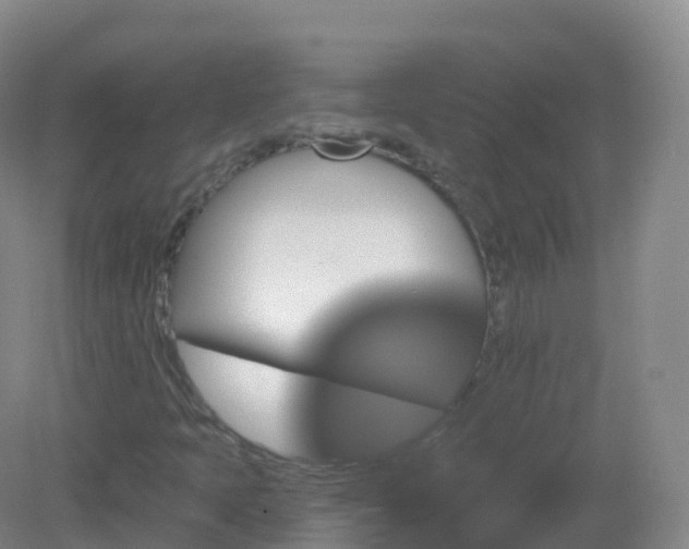 X0000081341397200701182008