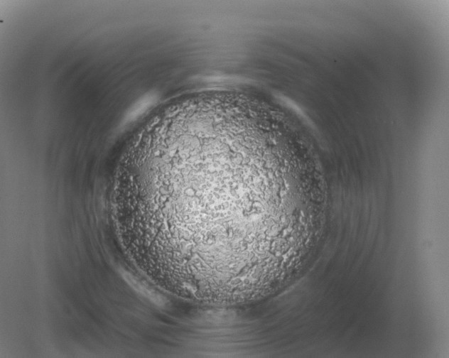 X0000081341403200701182008