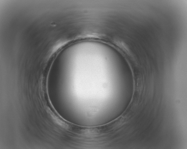 X0000081341404200701182008