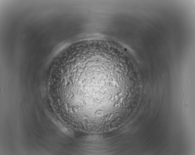 X0000081341407200701182008