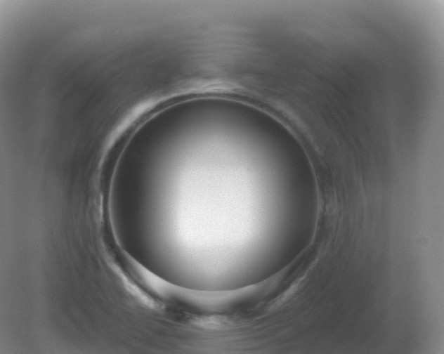 X0000081341414200701182009