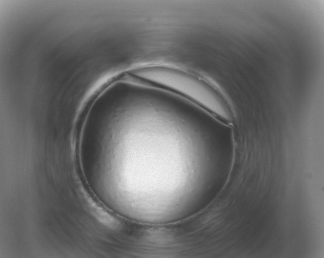 X0000081341416200701182009